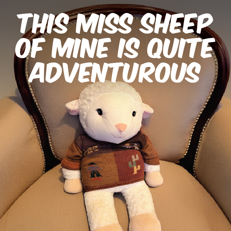 Sheep Adventure Introduction