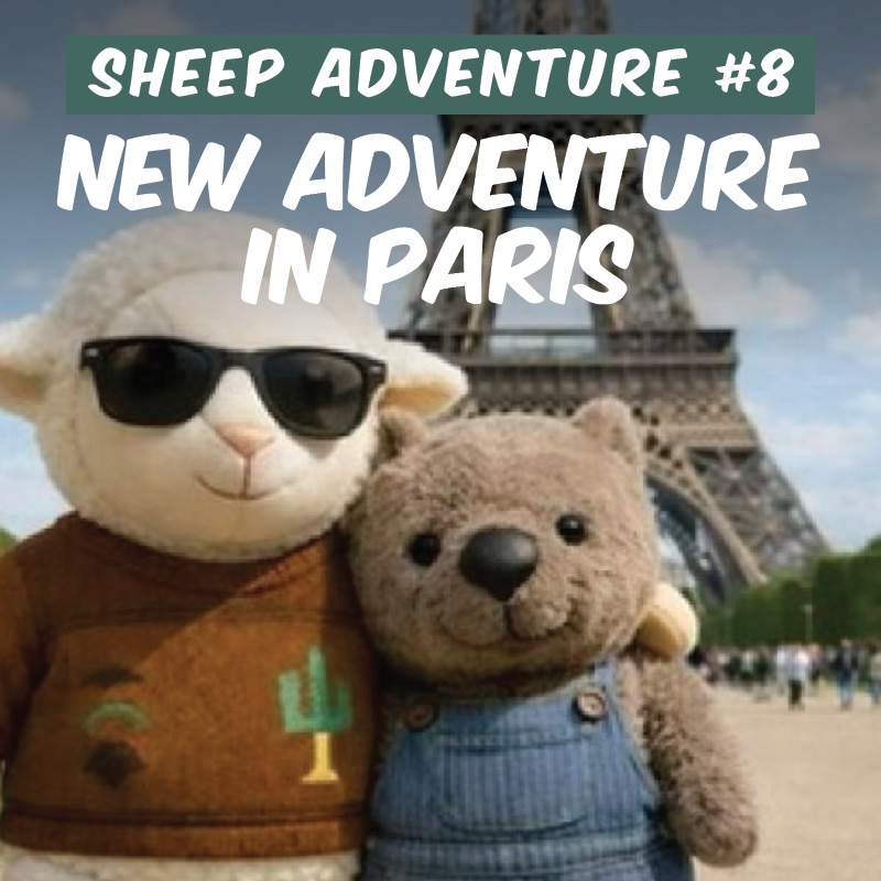 New Adventure in Paris