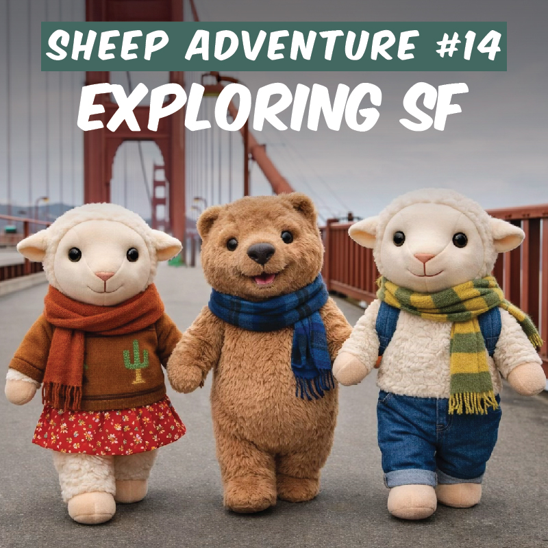 Sheep Adventure #11: Exploring SF