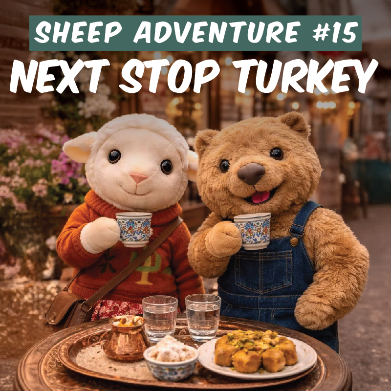 Sheep Adventure #15: Next Stop Turkey