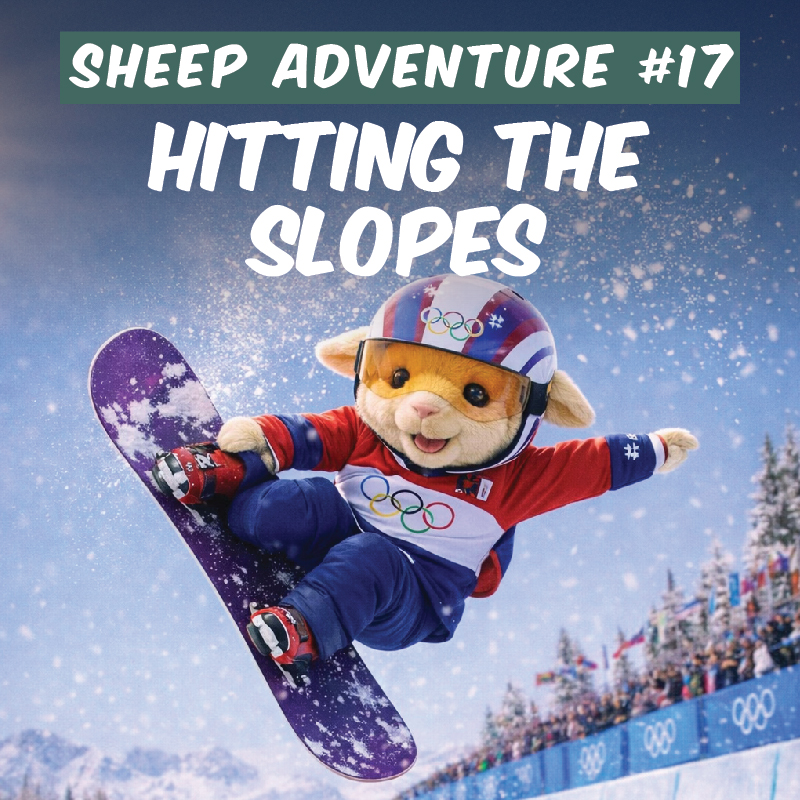 Sheep Adventure #17: Hitting the Slopes